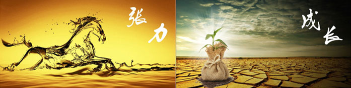 企業(yè)發(fā)展要學(xué)會取他人之長、補自己之短